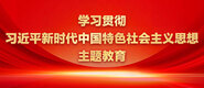 操b鸡巴学习贯彻习近平新时代中国特色社会主义思想主题教育_fororder_ad-371X160(2)